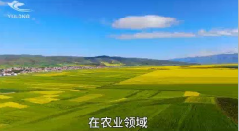 甘肃干冰气肥